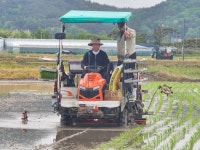 농협중앙회 대전본부, (사)한국새농민 대전광역시회와 상생·협력농장 모내기 행사 실시