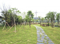 아산시, 도고초등학교에 학교숲 조성완료