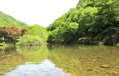 논산저수지 탑정호의 숨은 이야기…지구사랑환경전시회 개최