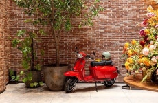 [송세헌 - 可人의 아침산책] 오월 산천엔 신록의 너울이 넘치고