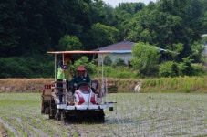 북대전농협, 모내기철 부족한 일손 지원 통한 농촌사랑 실천