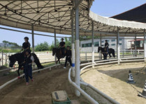 홍성군승마장, 충남인재개발원 승마과정 큰 호응