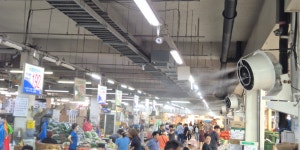 농협대전공판장, 오정도매시장 내 쿨링포그 시스템 설치 완료