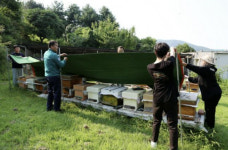 태안군, 축산농가 폭염 피해 예방 현장점검 실시