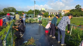서산장학재단 서산시지부 운영위원회, 서산국화축제장 봉사활동 실시