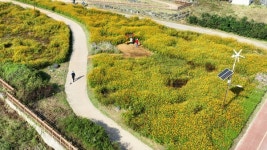 사계절 꽃길을 즐기세요! 유성구, 도심 6개 하천 정비