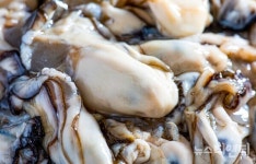 그 해 우리는 청보리밭 코스모스 만개...옆에선 천북 굴 축제