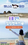 반려견과 함께 태안 여행… 펫니스 댕댕투어 3월부터 본격 시동