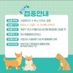 인천 계양구, 지정 동물병원 통해 광견병 예방접종 집중 실시
