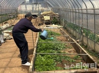 단양군, 우리 밭 농산물로 점심 챙겨요... 자급자족형 경로당 눈길