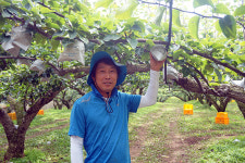 김영준 천안배원예농협 영농법인율금회장