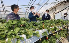 경기 시설디지털농업·곤충자원 연구현장 방문