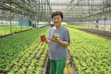 조은미 한국화훼농협 이사