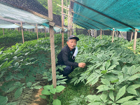 송민식 충북인삼농협 조합원