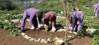 현대인의 건강 치유농업이 답