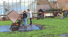 현대인의 건강 치유농업이 답