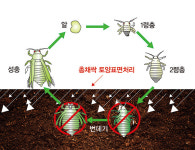 팜한농, 해충 번데기 방제 생물농약 개발성과 인정