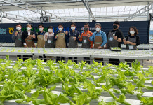 이재식 농협 부회장 … 스마트농업 보급 지원 최선