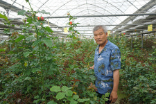 서동호 영남화훼원예농협 불암화훼작목회장