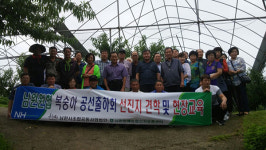 내일을 여는 품목농협 조직 / 남원원예농협 복숭아공선출하회