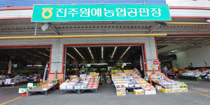 위기의 협동조합 판매사업만이 살 길 - 진주원예농협 공판장·하나로마트