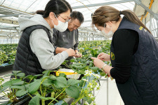 경북도 몽골에 K-농업기술 노하우 전수