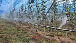 시그닛, 국내 스마트팜의 맞춤형 솔루션 제공