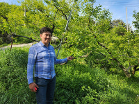 임영수 진주원예농협 조합원