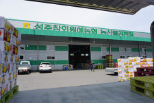 위기의 협동조합 판매사업만이 살 길 - 성주참외원예농협 공판장