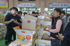 위기의 협동조합 판매사업만이 살 길 - 성주참외원예농협 공판장