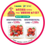 우리 방울토마토 많이 드세요