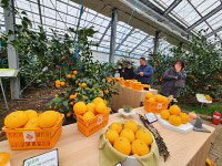 2023년 결산-품목농협 조합장이 바라본 원예산업 - 감귤