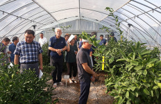 지역경제 선도하는 품목농협 - 남원원예농협