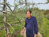 김성영 거창사과원예농협 선거관리위원장
