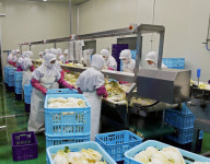 지역경제 선도하는 품목농협 - 대관령원예농협