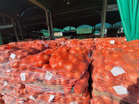 중앙도매시장 줄잡이 양파 반입금지 확대