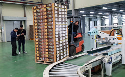 지역경제 선도하는 품목농협 - 평택원예농협