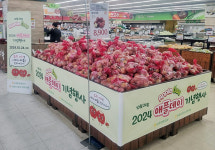 둘(2)이 서로 사(4)과하는 하루 되세요