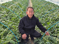 이병권(창원원예농협 조합원) - 철저한 관리로 고품질 겨울 수박 생산