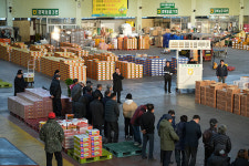 지역농산물 유통구조 이끌어가는 품목농협 - 대구경북능금농협 공판장