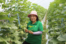 유복순(행복한 농장 대표) - 작형 분산에 가공식품 병행 … 연중 수익 안정화