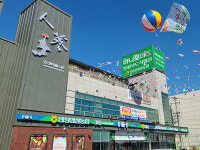 안성인삼농협, 인삼 온라인 도매시장 상장