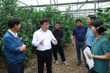 농진청, 나물콩·만감류, 안정 생산 기술 수요 수렴