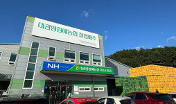 지역농산물 유통구조 이끌어가는 품목농협 - 대관령원예농협