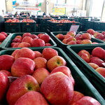 지역농산물 유통구조 이끌어가는 품목농협 - 거창사과원예농협