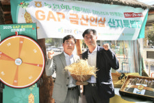 금산인삼농협, 2025 GAP 금산인삼 산지특별전 개최