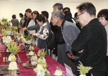 2025 고양 풍란 전시회 개최