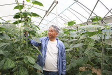 성기철(안성원예농협 조합원) - 배움을 멈추는 순간 늙는다 … 설렘으로 일군 오이 농장