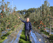 김동식(대경사과원예농협 조합원) - 가을장마·일조량 부족에 열과 피해 속출