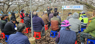 지역농산물 유통구조 이끌어가는 품목농협 - 나주배원예농협